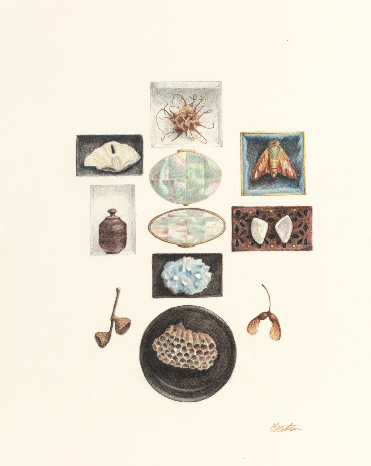 Curiosities