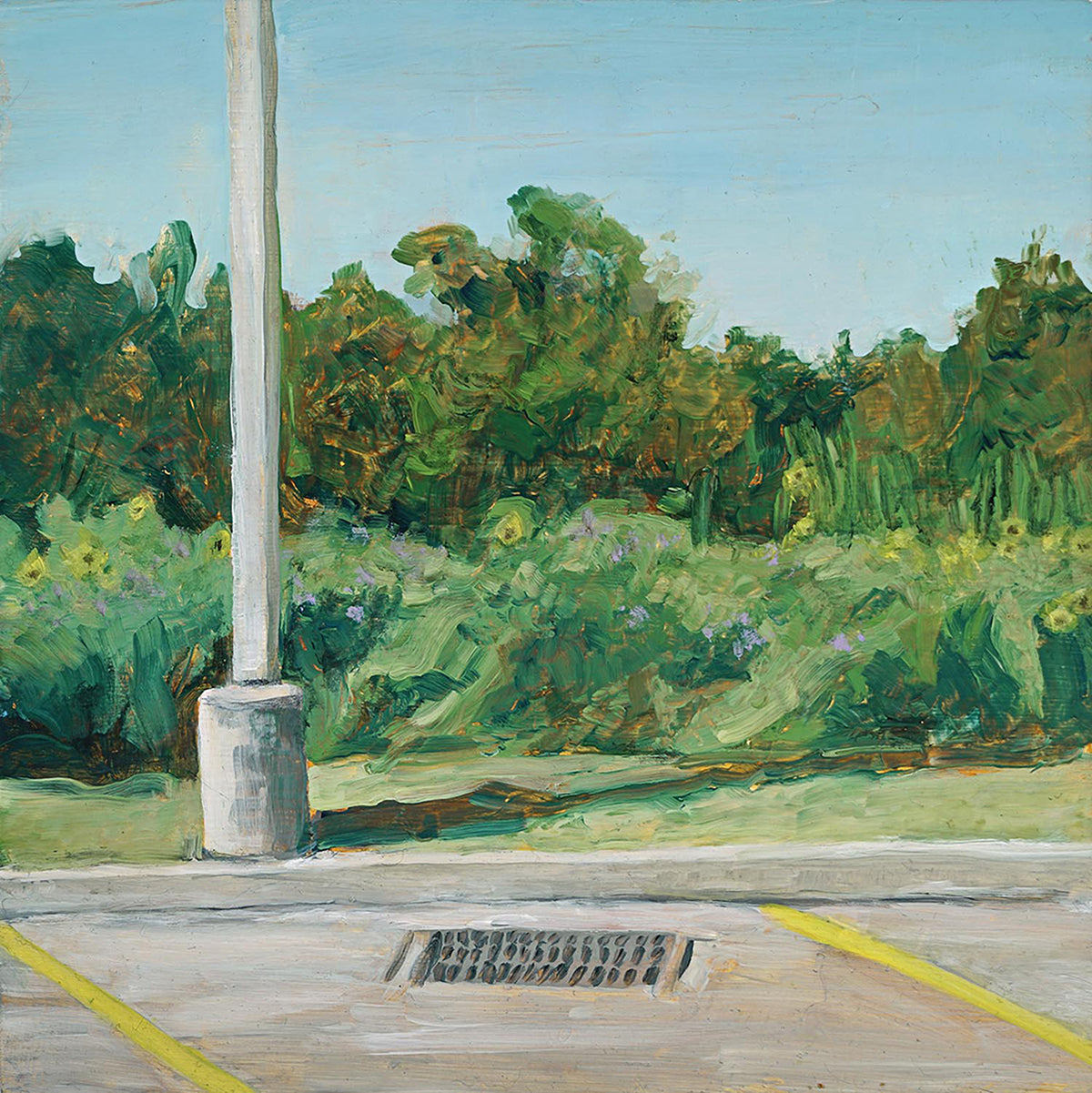 Roadway Botanizing (The Damage We Do)
