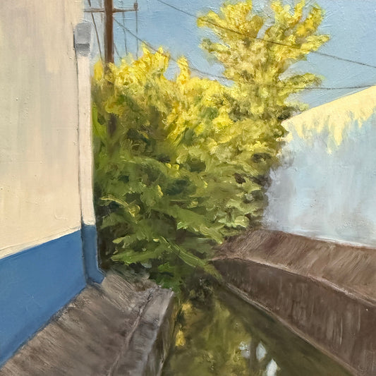 Poor Farm Ditch (Squeeze)