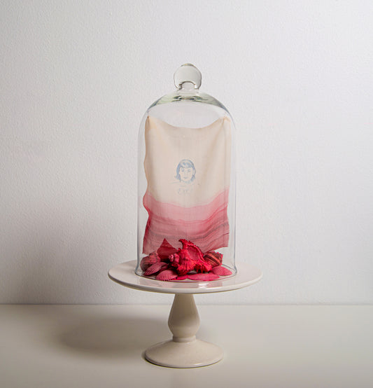 from the Sea of Cochineal