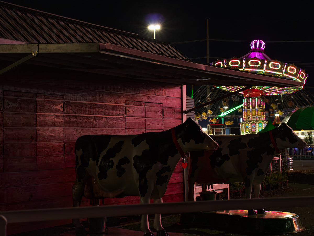 Rodeo Fields