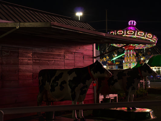 Rodeo Fields