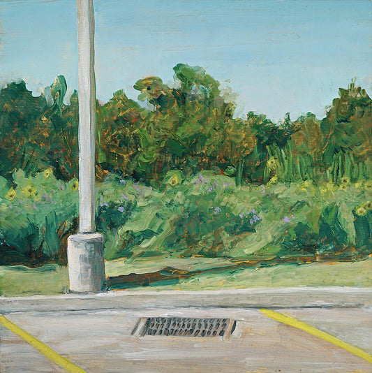 Roadway Botanizing (The Damage We Do)