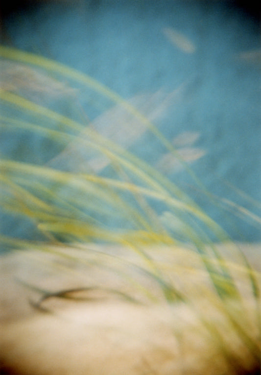 Elemental Studies 4